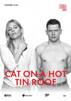 Cat on a Hot Tin Roof (Ru Sub)
